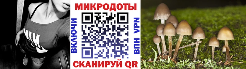 Купить  Андреаполь  Галлюциногенные грибы мухоморы 